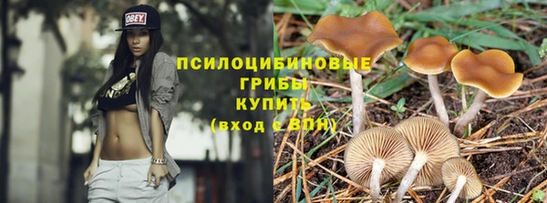 соль ск Балабаново