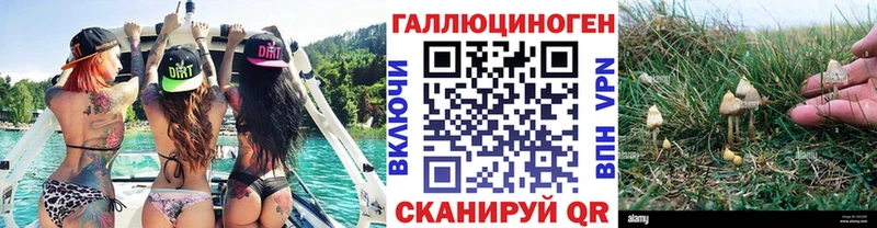 нарко площадка Telegram  Хасавюрт  Галлюциногенные грибы Psilocybine cubensis 